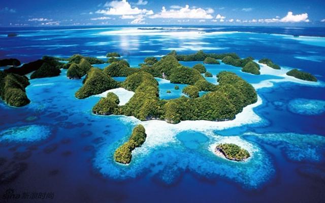 画济宁丨来济宁赶大集