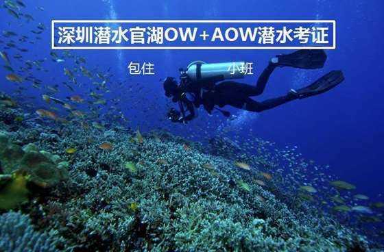 埃利的时装周